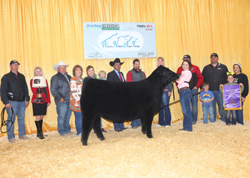 Grand Champion Female