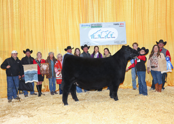 Reserve Grand Champion Owned Female