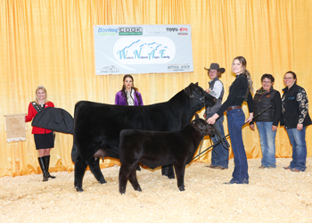 Bred-and-owned Intermediate Champion Heifer