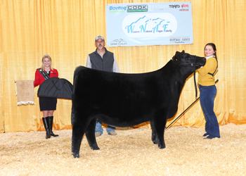 Owned Senior Heifer Calf Champion