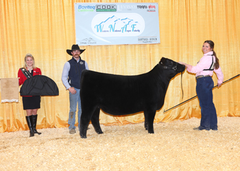 Junior Heifer Calf Champion - Division 1