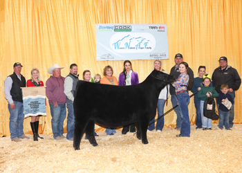 Grand Champion Owned Female