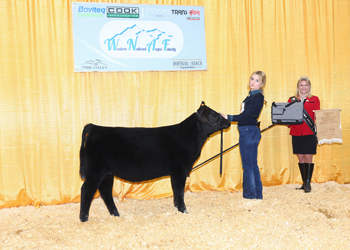 Bred-and-owned Reserve Fall Heifer Calf Champion