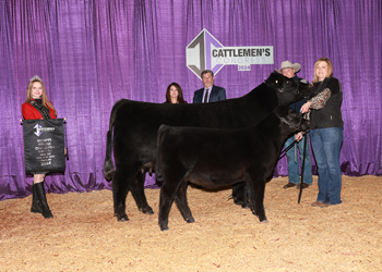 Reserve Grand Champion Cow-calf Pair