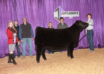 Junior Heifer Champion - Div 1