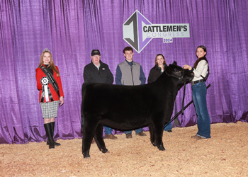 Reserve Junior Heifer Calf Champion - Div 1