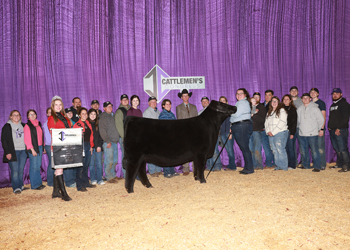 Grand Champion Owned Female