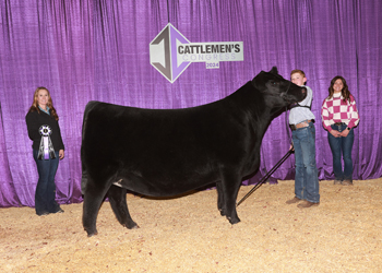 Owned Junior Champion Heifer--division 2