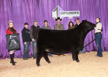 Reserve Grand Champion Bred-and-owned Female