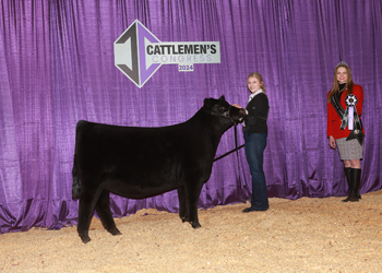 Owned Junior Heifer Calf - Div 2