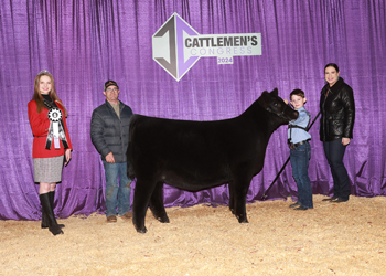 Owned Reserve Junior Heifer Calf - Div 1