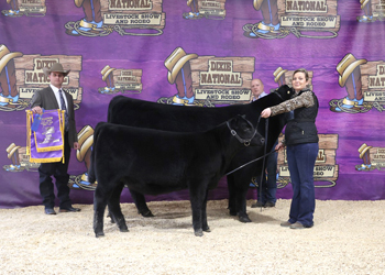 Grand Champion Cow-calf Pair