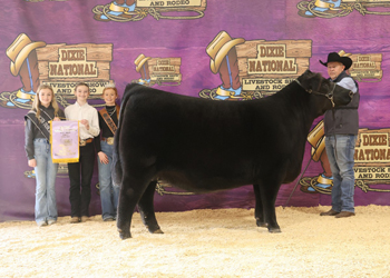 Reserve Junior Champion Heifer