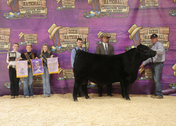 Reserve Grand Champion Bull