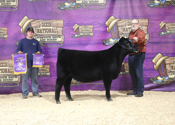 Summer Heifer Calf Champion