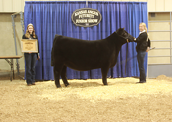 Grand Champion Bred-and-owned Female