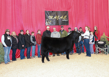 Reserve Grand Champion Bred-and-owned Female