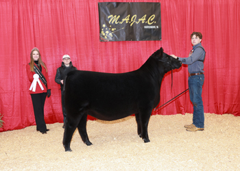 Bred-and-owned Reserve Junior Champion Heifer