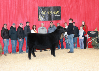 Grand Champion Bred-and-owned Female