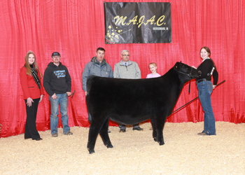 Owned Junior Champion Heifer--division 1