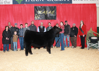 Reserve Grand Champion Steer