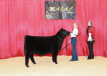 Owned Reserve Intermediate Champion Heifer