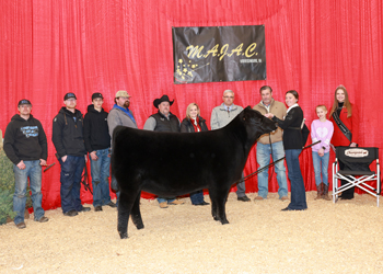 Reserve Grand Champion Owned Female