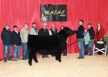 Reserve Grand Champion Bred-and-owned Steer