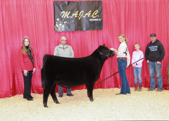 Owned Intermediate Champion Heifer