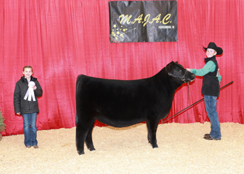 Bred-and-owned Reserve Intermediate Champion Heifer