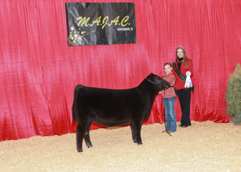 Owned Reserve Senior Heifer Calf Champion