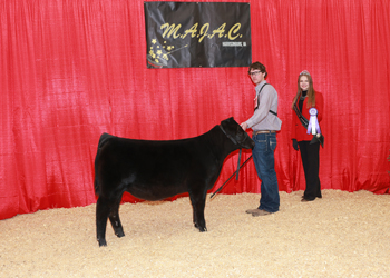 Owned Senior Heifer Calf Champion