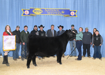 Reserve Grand Champion Female