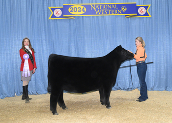 Reserve Intermediate Champion Heifer