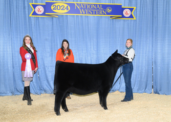 Reserve Junior Champion Heifer Calf - Div 1