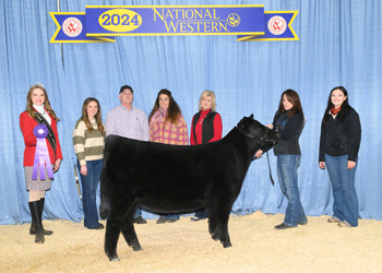 Junior Champion Heifer Calf - Div 1