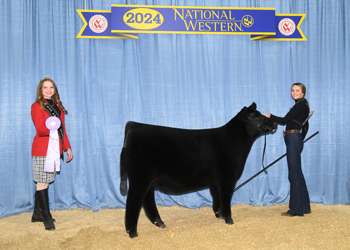 Owned Reserve Junior Heifer Calf Champion - Div 2