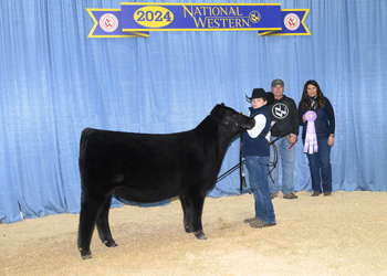 Bred-and-Owned Reserve Jr Heifer Calf Champ-Div 3