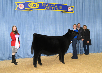 Owned Reserve Junior Heifer Calf Champion - Div 3