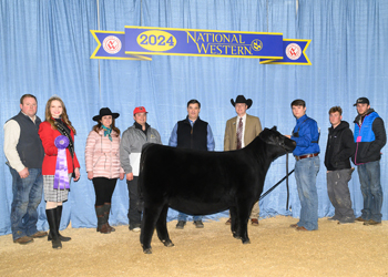 Reserve Grand Champion Bred-and-owned Female