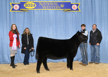 Owned Reserve Junior Heifer Calf Champion - Div 1