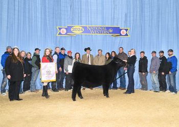 Reserve Grand Champion Owned Female