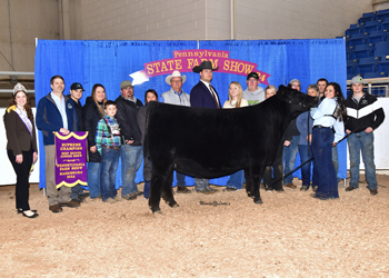 Grand Champion Owned Female