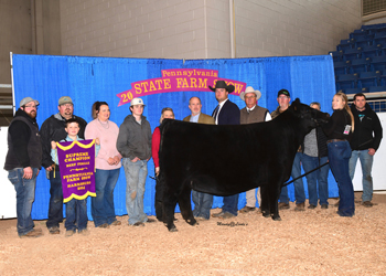 Grand Champion Female