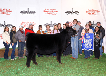 Reserve Grand Champion Female