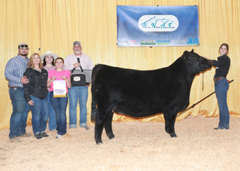 Reserve Junior Champion Heifer