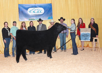 Senior Heifer Calf Champion