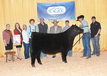 Reserve Grand Champion Female