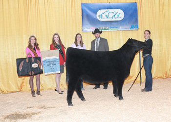 Reserve Junior Heifer Calf Champion - Div 2