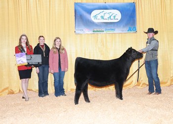 Fall Heifer Calf Champion